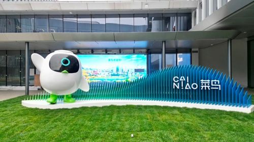 明確阿里云 菜鳥 盒馬融資上市時間表 張勇 戴珊 蔣凡財(cái)報(bào)電話會詳解改革計(jì)劃